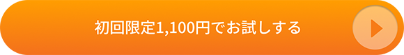 初回限定1,100円でお試しする